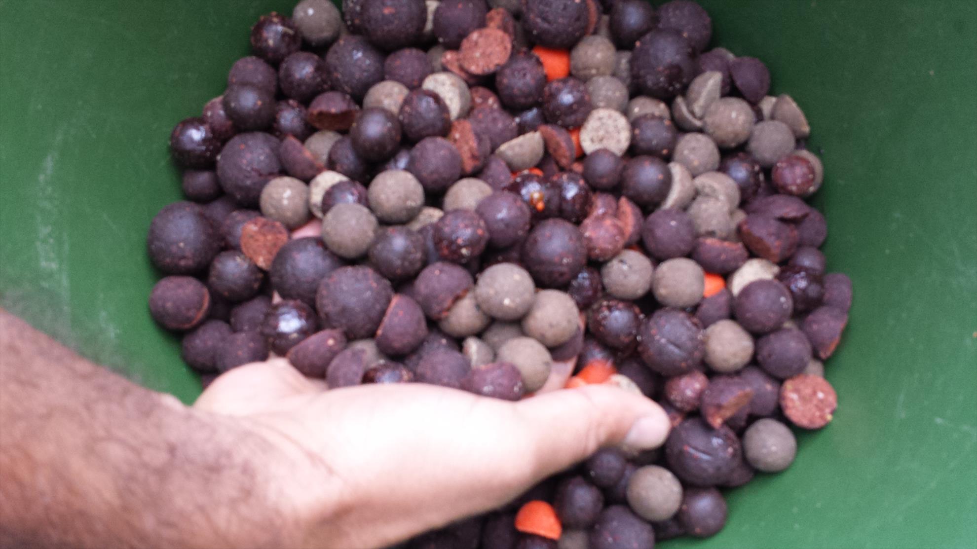 PILHAN - 20130927181806.jpg